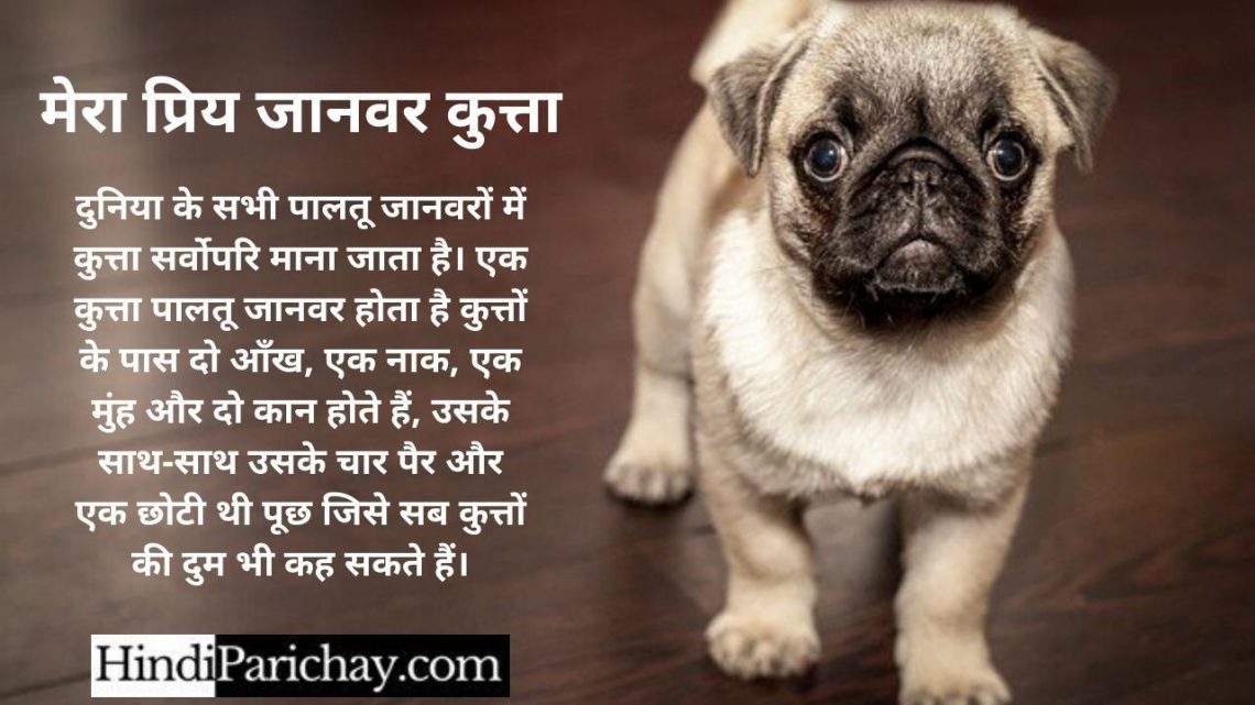 essay of dog in hindi